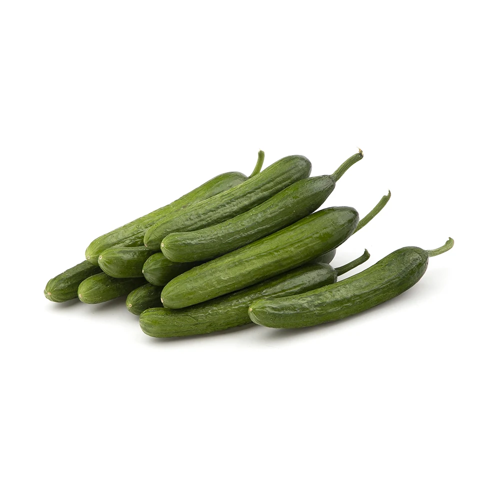 خیار گلخانه