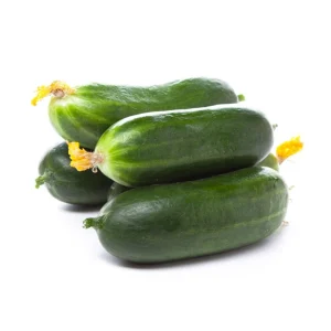 خیار اصفهان