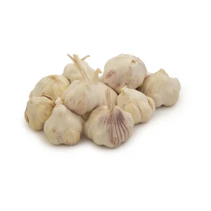 سیر خشک