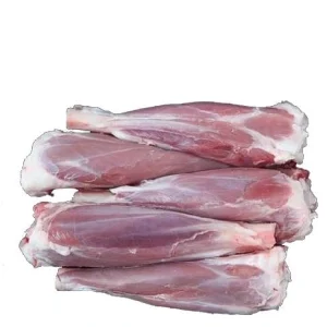 ماهیچه